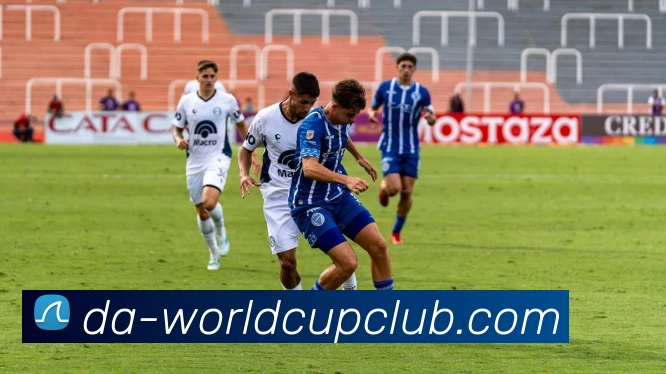 世界杯官方线上平台生态图