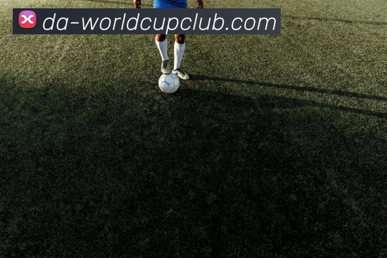 世界杯官方线上全站App